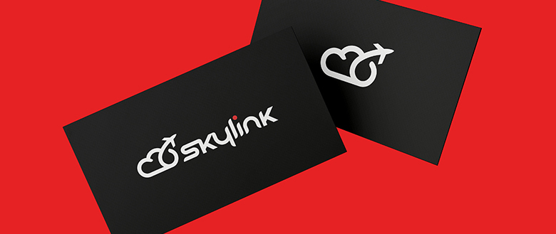 Логотип Sky link